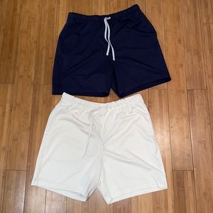 Lot of two pacsun mesh volley shorts